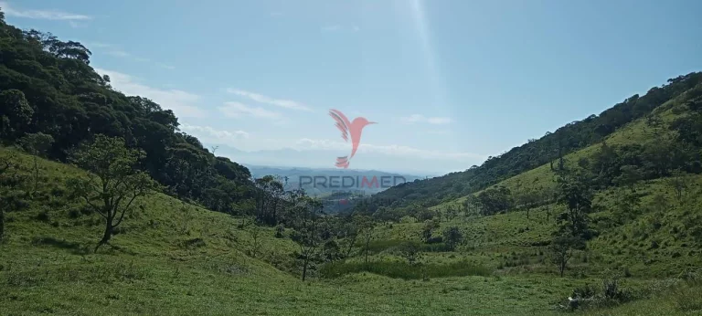 Imagem Propriedade rural no bairro do Fogueteiro, com 66 Hectares