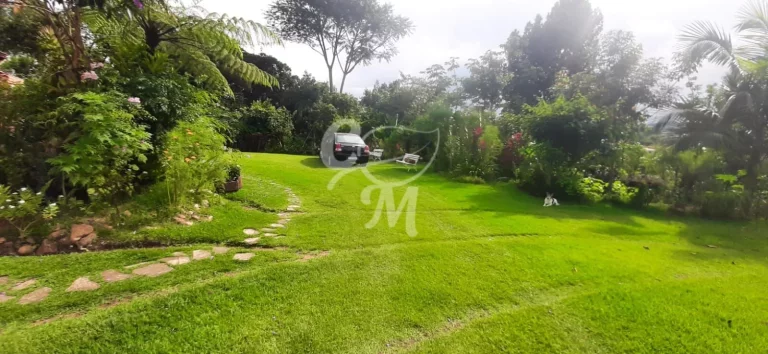 Imagem Chácara no Tijuco Preto