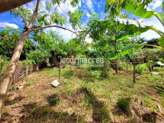 Imagem Chácara à venda 2 Quartos, 5600M², Dom Pedro I, Londrina - PR