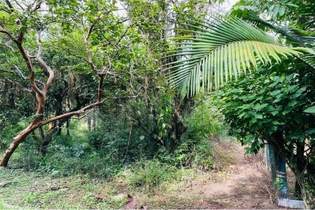 Imagem CMCF 2 Lote 612651033-85 - Terreno à venda no bairro Centro - Nova Santa Rita/RS