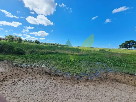 Imagem FAZENDA PEROBAS - OPORTUNIDADE ÚNICA DE INVESTIMENTO EM ARARUAMA/RJ