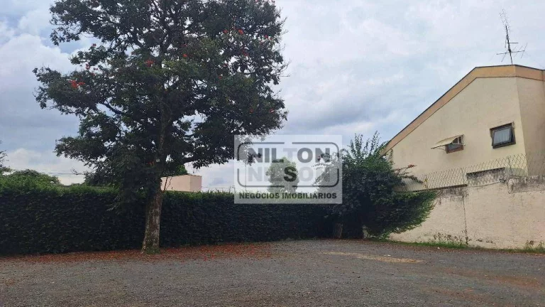 Imagem Terreno para alugar, 511 m² por R$ 6.000,00/mês - Nova Campinas - Campinas/SP