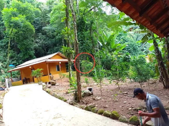 Imagem Casa estilo kitnet em terreno amplo 3000 metros na beira rio