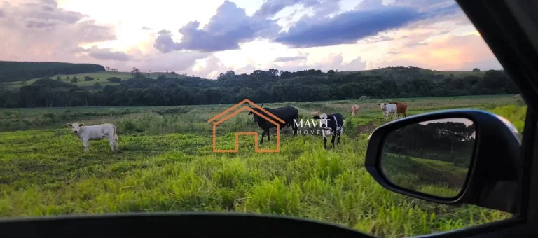 Imagem FAZENDA RURAL em CERRO NEGRO - SC, Interior