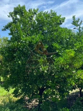 Imagem Fazenda - Patrocínio Paulista - Patrocínio Paulista