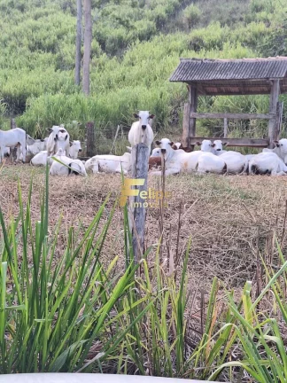 Imagem Você já sonhou em viver em uma fazenda cercada pela natureza e com toda a infraestrutura necessária para tornar a sua vida no campo mais confortável?