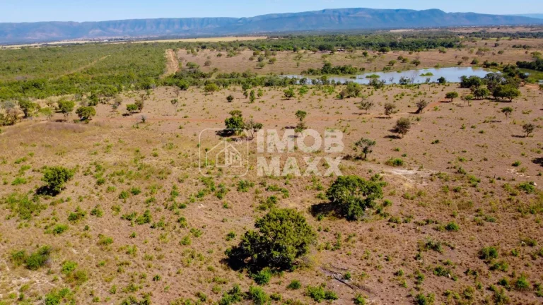 Imagem Fazenda a venda em Formosa: 281 hectares, água perene, dupla aptidão - escriturada e registrada.