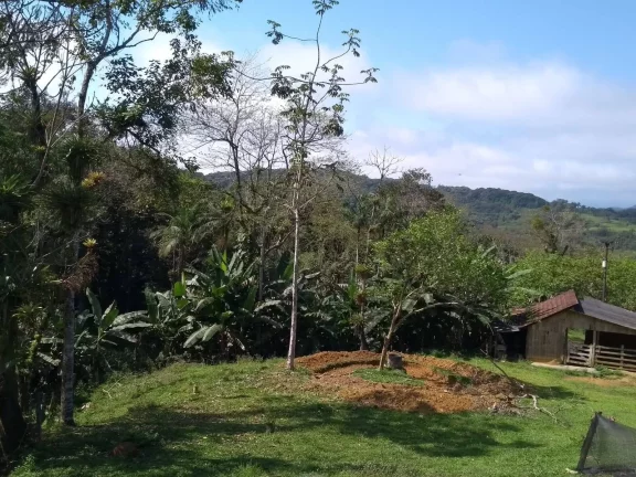 Imagem Chácara na Serra da Graciosa em frente ao Asfalto - Antonina - R$900mil