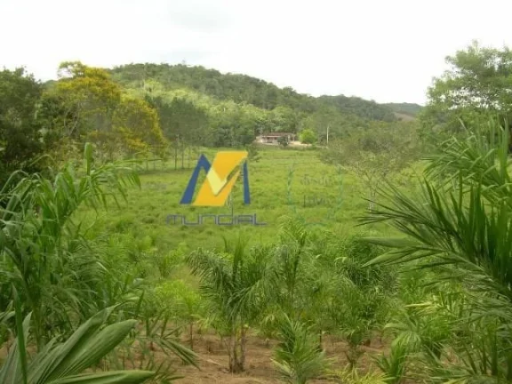 Imagem Vendo Terreno em Suzano - SP