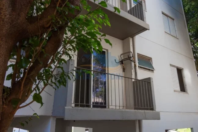 Imagem Apartamento - Ribeirão Preto - Parque dos Bandeirantes - Região Leste