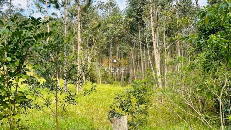 Imagem Chácara - Sítio com 1 Dormitorio(s) localizado(a) no bairro Zona Rural em Araricá / RIO GRANDE DO SUL Ref.:1584