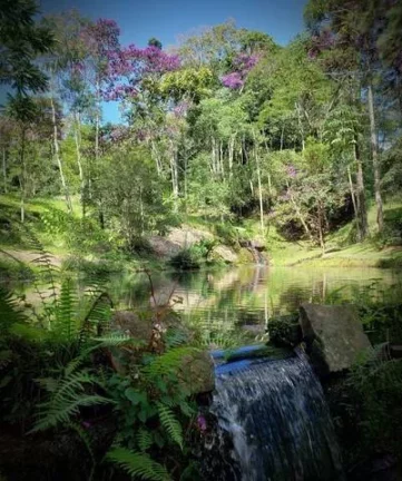 Imagem EXCELENTE PROPRIEDADE COM 20.000M2 EM NOVA FRIBURGO.
