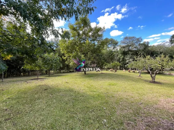 Imagem Chácara à venda no bairro Ana Rech - Caxias do Sul/RS