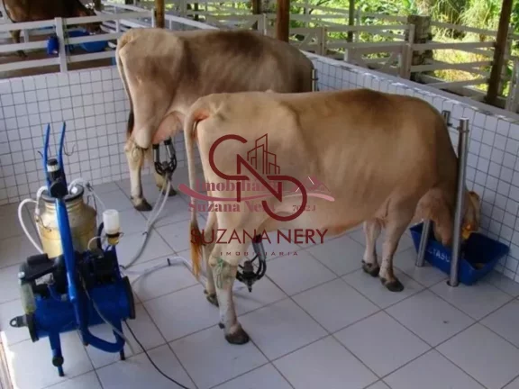 Imagem TERRENO COM 750M² NO CONDOMÍNIO FAZENDA REAL I E II