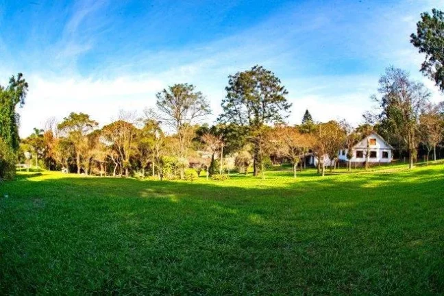 Imagem Sítio - Bairro Belem Velho