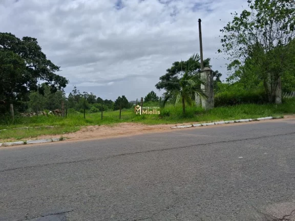 Imagem Terreno com 3 Dormitorio(s) localizado(a) no bairro Centro em Viamão / Rio Grande do Sul Ref.:57580275