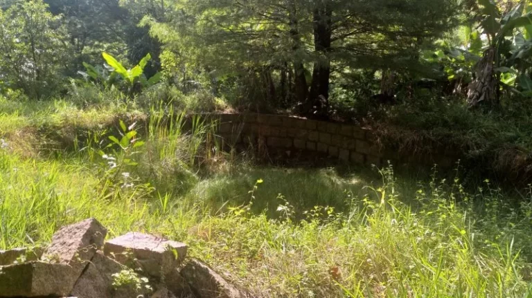 Imagem Sítio - Venda em Cabreúva e Região/SP