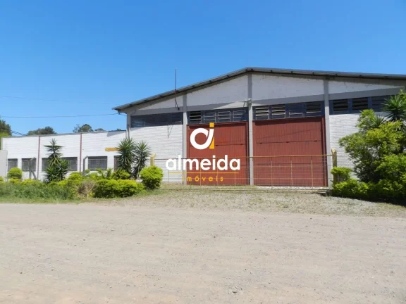 Imagem Pavilhão à venda Pé de Plátano Santa Maria/RS