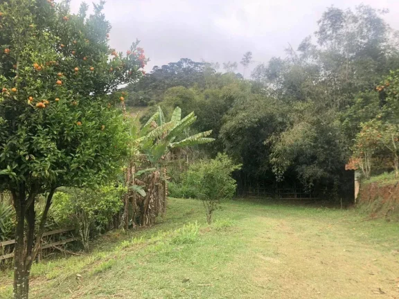 Imagem SÍTIO A VENDA NO COSTAS DA MANTIQUEIRA