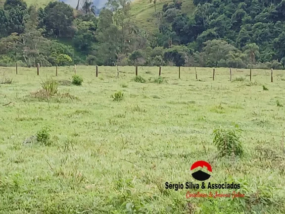 Imagem Chácaras a Venda na Região de Wenceslau Braz - MG.