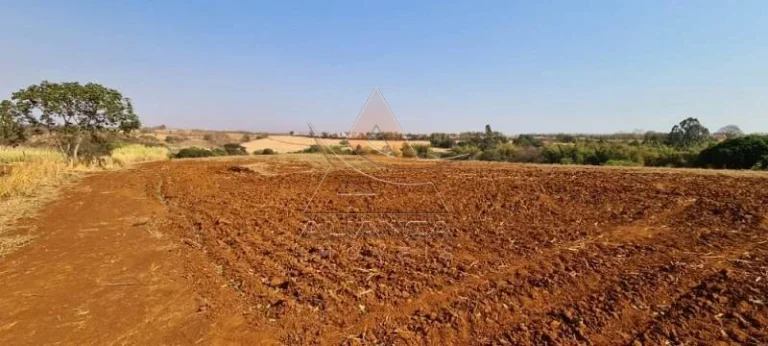Imagem Área - Brodowski - Brodowski