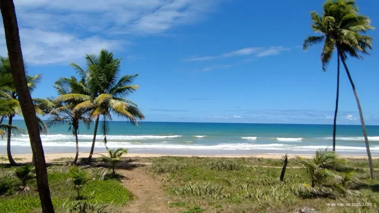 Imagem A sua vida nunca mais será a mesma ao adquirir um lote no Riviera em Praia do Forte, Mata de São João - Bahia