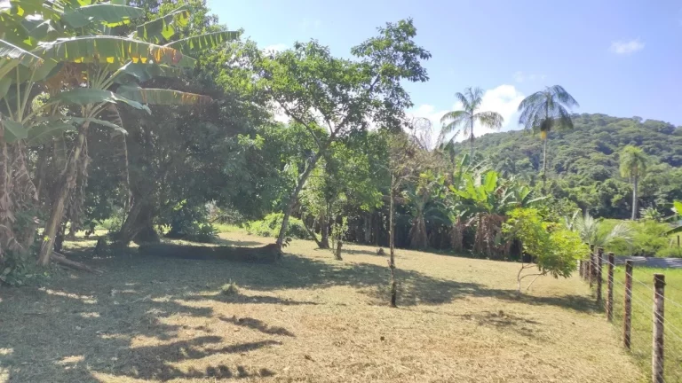 Imagem TERRENO RESIDENCIAL em São Francisco do Sul - SC, Rocio Grande