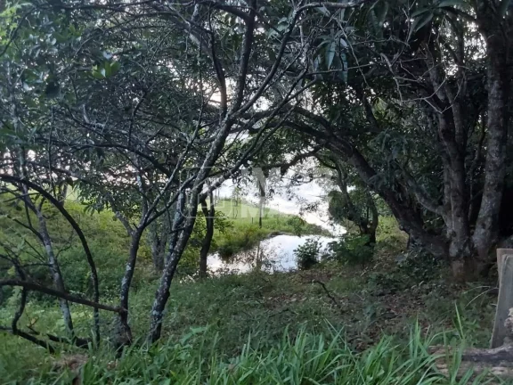 Imagem Casa MI do Lago Norte - Beira Lago - Umidade o ano inteiro em pleno Cerrado!