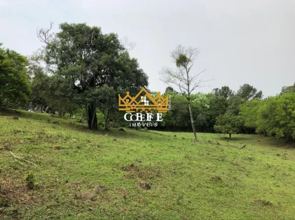 Imagem Chácara - Sítio com 2 Dormitorio(s) localizado(a) no bairro Zona Rural em São Francisco de Paula / RIO GRANDE DO SUL Ref.:1345