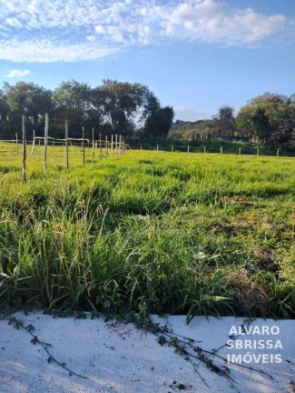 Imagem Terreno medindo 10 x 25 metros a venda no Parque São Domingos em Pindamonhangaba SP
