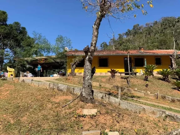 Imagem PROPRIEDADE A VENDA EM NOVA FRIBURGO - 81.000m2