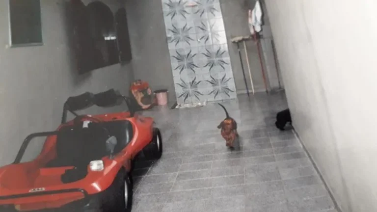 Imagem Casa para Venda em Itanhaém, Bopiranga, 3 dormitórios, 2 suítes, 2 banheiros, 10 vagas