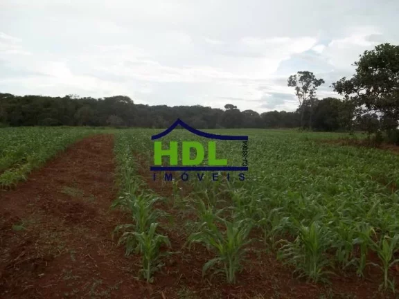 Imagem FAZENDA 24 ALQS CULTURÃO BEIRA RIO