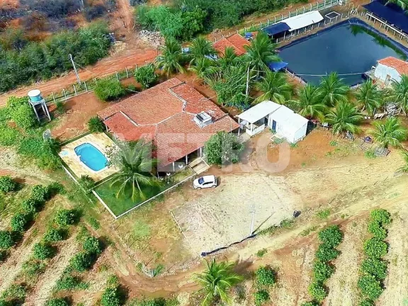 Imagem Fazenda produtiva de mangas à venda com 12,5 ha, PETROLINA - PE
