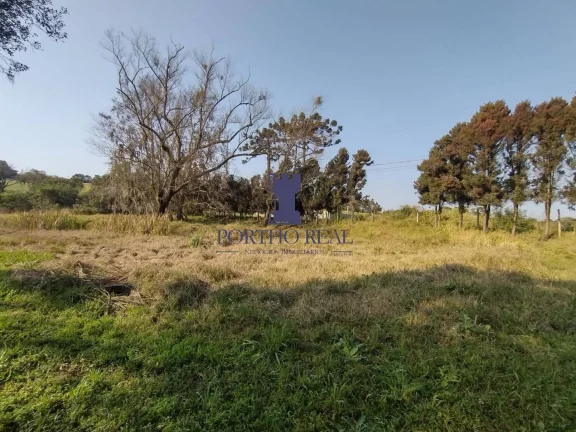Imagem ÁREA EM BALSA NOVA COM 13.530,10M²