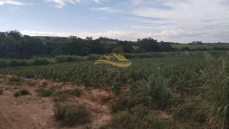 Imagem SITIO RURAL em ELIAS FAUSTO - SP, Centro