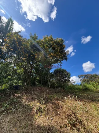 Imagem Sítio em Área Rural de Biguaçu, Biguaçu/SC