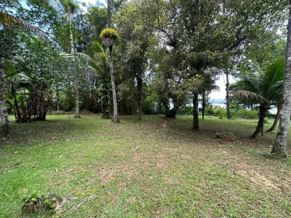 Imagem Terreno a venda Pé Na Areia / Praia da Santa Rita em Ubatuba !!