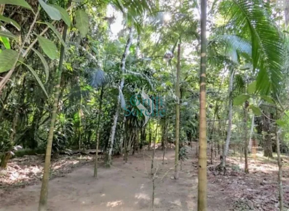 Imagem Casa em Condomínio à Venda no Horto Florestal - Ubatuba/SP.