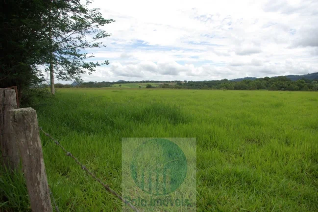 Fazenda 59 alqueires para soja, milho, gado em Cássia dos Coqueiros - SP . Temos autorização para venda.