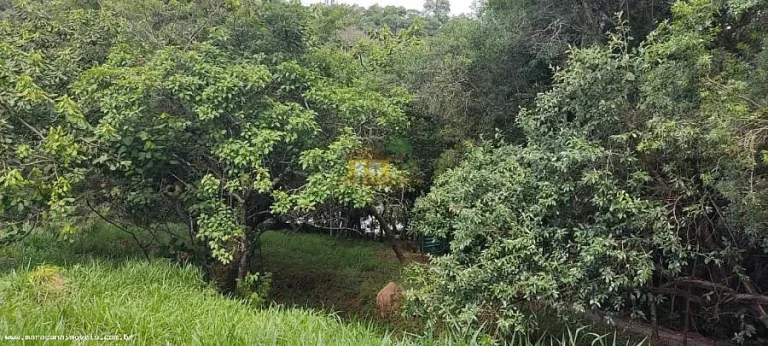 Imagem Terreno Padrão