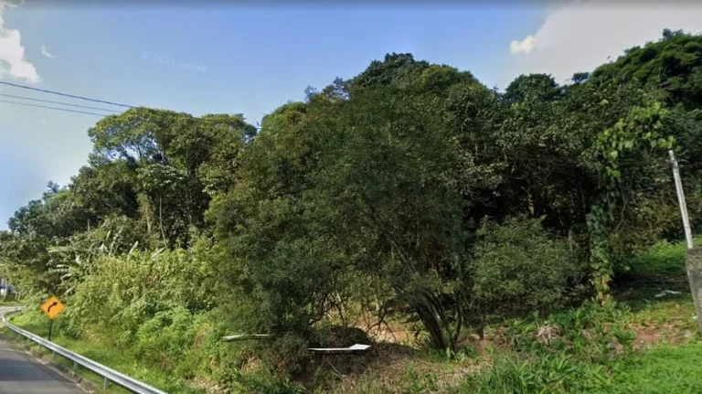 Imagem Terreno à venda, 805 m² por R$ 255.000,00 - Jardim Petrópolis (Santa Luzia) - Ribeirão Pires/SP