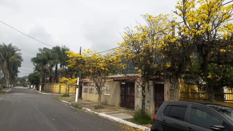Imagem Sobrado 2 quartos - Pronto para Morar - Bairro Solemar