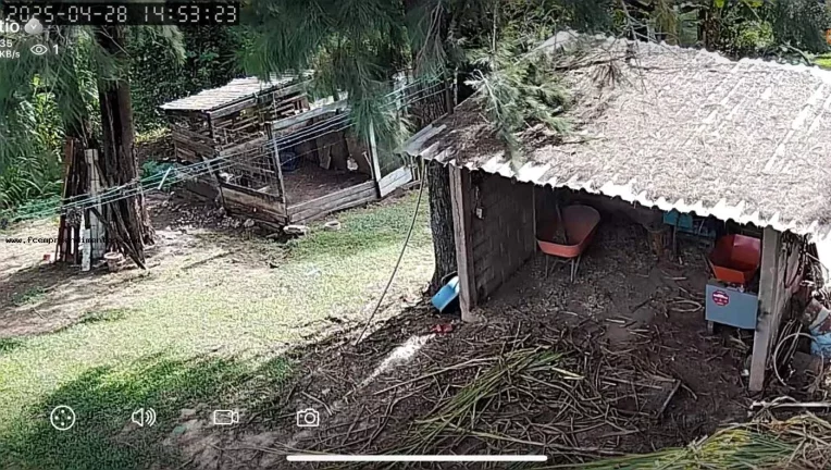 Imagem Chácara para Venda em São Pedro, --------------, 1 dormitório, 1 banheiro, 10 vagas