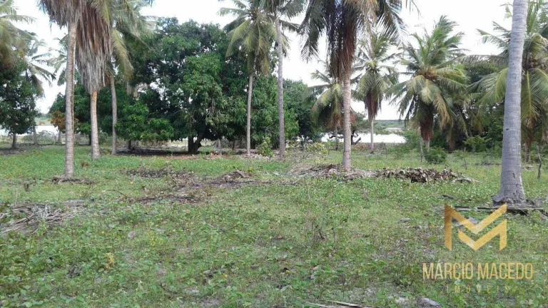 Imagem Terreno à venda, 247664 m² por R$ 1.200.000,00 - Zona Rural - Beberibe/CE