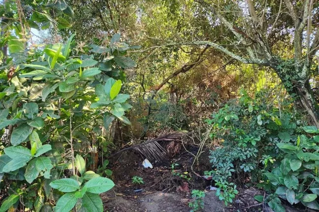 Imagem Terreno 950m, em Araçatiba, Maricá.