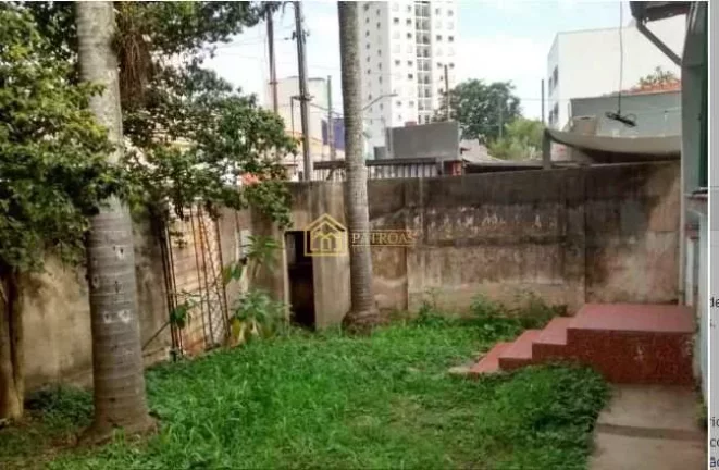 Imagem Terreno Padrão