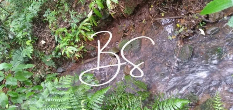 Imagem AREA RURAL em NOVA PETRÓPOLIS - RS, Centro