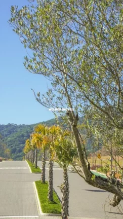 Imagem Casa alto padrão com 4 suítes em um bairro planejado em Camboriú - SC