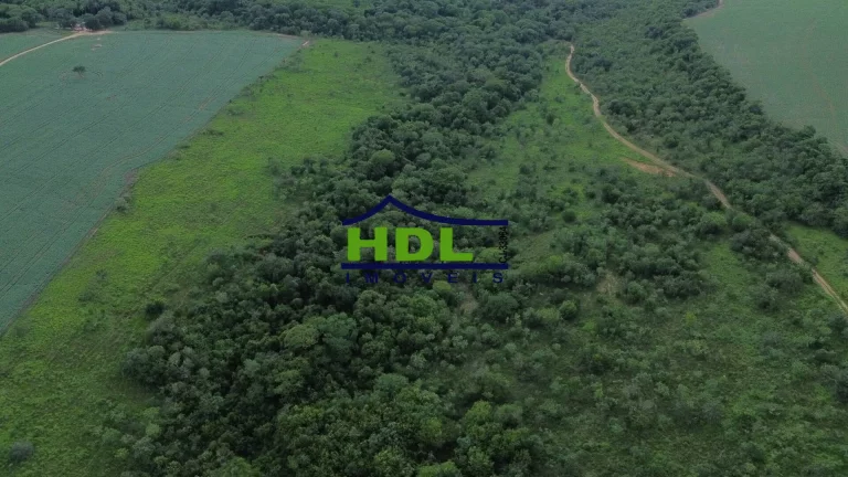 Imagem Fazenda 70 Alqs Dupla Aptidão plantada em Soja em Bela Vista GO